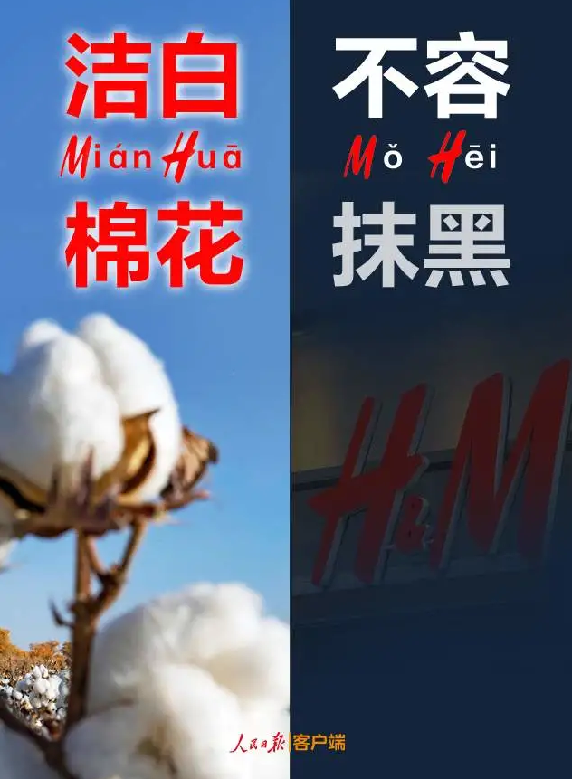 潔白棉花，不容抹黑，花榮華與華一起