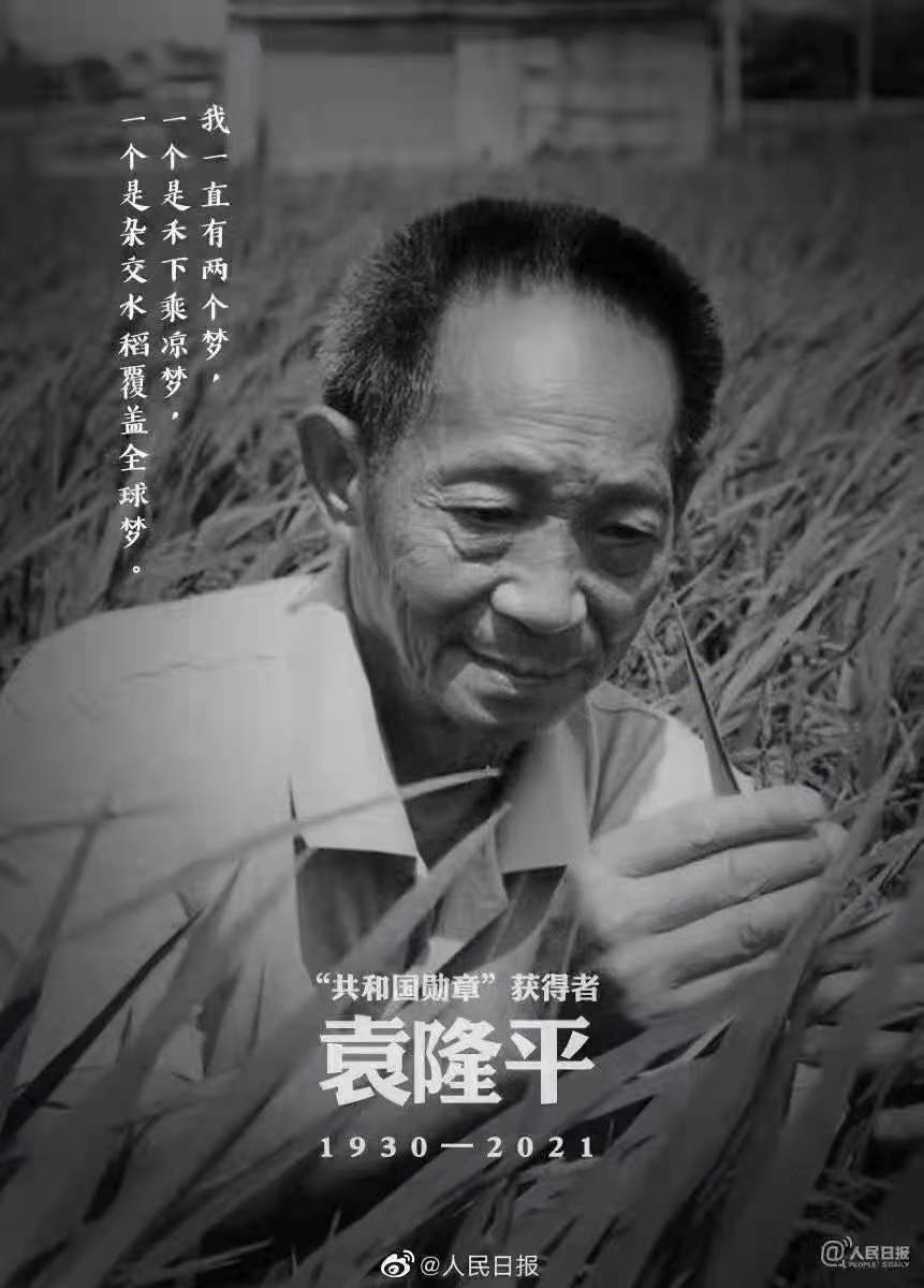 緬懷，國(guó)之脊梁——雜交水稻之父